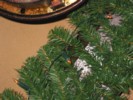 IMG_1483.JPG