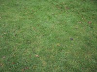 IMG_2096.JPG