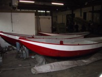 IMG_2913.JPG