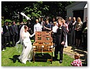 IMG_7849.JPG