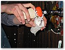 IMG_3416a.JPG