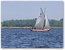 IMG_3628b.JPG