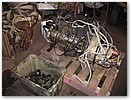 IMG_3881.JPG