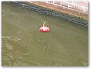 IMG_5379.JPG