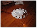 IMG_9797.JPG