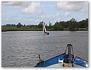 IMG_9821.JPG