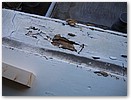 IMG_9889.JPG
