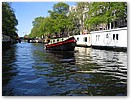 IMG_4464.JPG