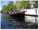 IMG_4465.JPG