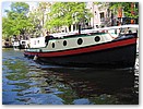 IMG_4466.JPG