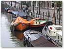 IMG_4524.JPG