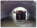 IMG_4736.JPG