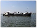 IMG_4842.JPG