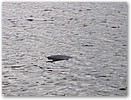 IMG_0391.JPG