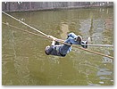 IMG_5653.JPG