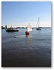 IMG_5946.JPG