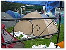 lowlands 2006 - 154.JPG