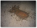 IMG_6744.JPG