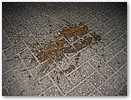 IMG_6745.JPG