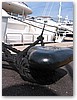 IMG_6866.JPG