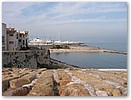 IMG_6917.JPG