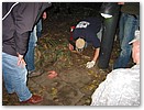 IMG_7542.JPG