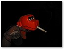 IMG_7585.JPG