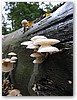 IMG_7592.JPG