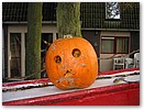 IMG_7993.JPG