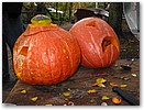 IMG_7996.JPG