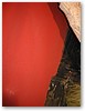 IMG_9207.JPG
