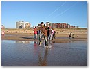 IMG_0317.JPG