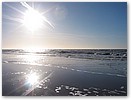 IMG_0320.JPG