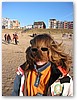 IMG_0345.JPG
