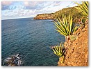 IMG_0552.JPG