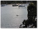 IMG_0575.JPG