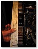 IMG_0720.JPG