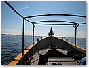 IMG_1887.JPG