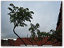 IMG_2429.JPG