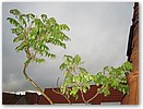 IMG_2430.JPG