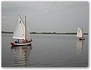 IMG_2595.JPG