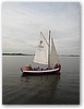 IMG_2598.JPG