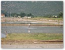2007-balkan-0560.JPG