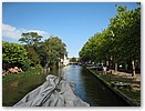 IMG_7513.JPG