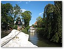 IMG_7519.JPG
