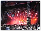 lowlands07-069 heideroosjes2.jpg