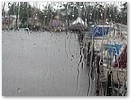 IMG_8955.JPG