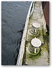 IMG_9937.JPG