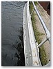 IMG_9938.JPG