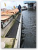 IMG_9939.JPG